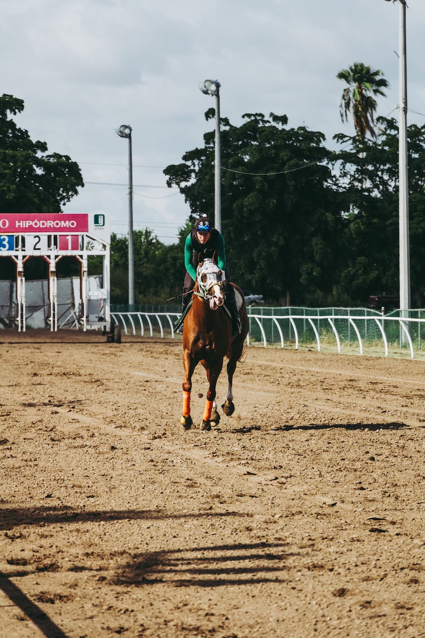 person riding on horse